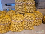 Sprzedam ziemniaki odmiana riviera irga volumia denar szykowne na zamówienie  sortowane od +35 pakowane po 15 kg cena do uzgodnienia 