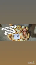 Hello, We Export all agricultural crops with Good Quality And Low Price  .Now available ( Egyptian Fresh onion )specification :Packing : 10...