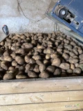 Sprzedam ziemniaka odmiany Soraya, kaliber +5, około 80 ton, cena 2 zł luz, 2,20 zł worek szyty 15 kg, zainteresowanych zapraszam do...