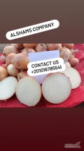 Hello , everyoneNow season start   for Fresh Onion  We ready to receive your request with high quality and competitive price  for make...