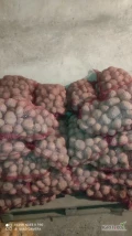 Sprzedam ziemniaki bellaroza 4+ towar zdrowy bez kiełków naszykowane 120 worków 