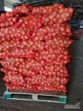 Sprzedam cebulę ozima podsuszona , kal 4-8 luz BB worek 15 kg, bez wyrostków ilości calosamochodowe polecam 