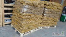 Sprzedam ziemniaki jadalne odmiana Queen Anna kaliber 45+ opakowanie worek szyty 15 kg ilość 300 worków oraz kaliber 30-40