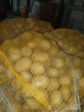 Ziemniaki Colomba +45, worek 15 kg, ilości tirowe