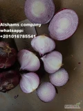 Alshams company for general import &export in EGYPT#Fresh_red_Onions● we can Delivery your request for any country● Grade A● packing :...