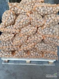 Sprzedam 600 kg ziemniaków sadzeniaków zostało mi od sadzenia  odmiana Marabel