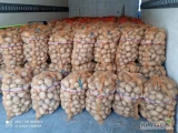 Witam. Sprzedam ziemniaki jadalne Denar, Melody, Tajfun. Ziemniaki sortowane na bieżąco. Możliwy transport.  Zdjęcia poglądowe....
