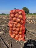 Cześć wszystkim. Oferujemy duże ilości cebuli. bardzo dobra jakość dostępne 1000,2000 ton .każdy, kto chce z nami współpracować,...
