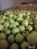 Sprzedam jabłko Golden Delicious, 24 skrzynie 
