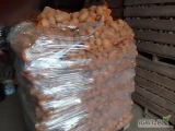 Sprzedam ziemniaki Madeleine w kal. +45, jest naszykowane 820 worków 15kg