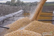 Kupię mokrą kukurydzę - ok. 50 ton - do gospodarstwa rybackiego w Rudzie Żmigrodzkiej (woj. dolnośląskie, Dolina Baryczy). Oferty...