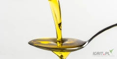 Wysokiej jakości oleje słonecznikowe do smażenia
