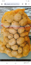 Sprzedam ziemniaka jadalnego kopanego przez klienta odmiana vineta cenna 24 za worek 15 kg zapraszam do kontaktu 