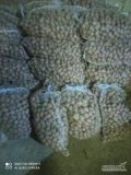 Sprzedam ziemniaki Ricardo kal 30-40 mm gotowe 2 tony worki 25 kg cena1zł kg więcej informacji pod nr tel 604145282