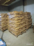 Sprzedam ziemniaki jadalne Gala obecnie gotowe 7 palet po 70 worków cena 20 zł worek 15 kg kal 40+ więcej informacji pod nr tel 604145182