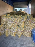 Sprzedam ziemniaki jadalne odmiana Jurek .Kaliber 5+ twarde świeżo naszykowane .120 worków po 15 kg.Witonia powiat Łęczyca.Tel.696 903...