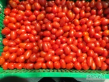 Sprzedam polski pomidor daktylowy luz
