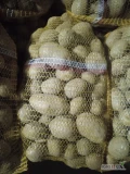 Ziemniaki jadalne odmiany Melody. Kalibraż 40+. Pakowane w worek 15 kg lub big-bag. Ilości tirowe i mniejsze.