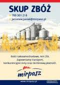 Firma MIRPASZ zakupi pszenżyto oraz inne zboża. Min 25t, zapewniamy transport oraz konkurencyjne ceny.Zapraszamy, tel 789 301 218  