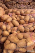 Kupię ziemniaki jadalne grube 50+ 55+, sadzeniaka oraz na obieranie kaliber 30-45  Zapraszam do współpracy rownież firmy.