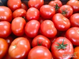 Sprzedam pomidora czerwonego admiro b ok 6 palet  oraz a ok 3 palety 
