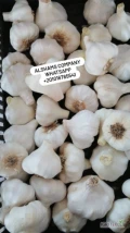 Alshams company for general import &export in EGYPT#Fresh_garlic ● we can Delivery your request for any country● Grade A● packing :...