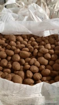 Sprzedam ziemniaki jadalne. Ilości tirowe Pakowane w B-B i worek 15 kg.