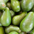 Hello, we are looking for buyers that will buy Avocados from Nigeria.We have avocados in large quantities. We ship to all countries. Buyers...