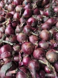 Sprzedam czerwoną cebulę, pełna łuska, towar suchy, kaliber 5-9
