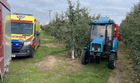 Tragiczny wypadek przy zbiorze owoców