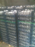 Sprzedam świerze pieczarki najwyższej  klasy export opakowanie 3 kg 400 skrzynek 