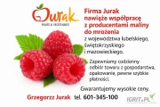 Firma JURAK nawiąże współpracę z producentami maliny do mrożenia z województwa lubelskiego, świętokrzyskiego oraz mazowieckiego....