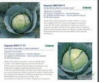 Nasiona kapusty białej odporne na KIŁĘ KAPUSTY firmy KIBAN. Odmiany: KBN 106 F1 , KBN 117 F1 , KBN 118 F1  oferuje GEPWEG dystrybutor...