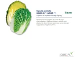 Nasiona kapusty pekińskiej KBN89-3 F1 (ARIKO) odpornej na KIŁĘ KAPUSTY firmy KIBAN oferuje GEPWEG dystrybutor nasion. Dostawa gratis....