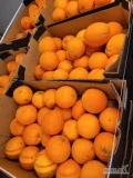 Do sprzedania ilości hurtowe pomarańczy hiszpańskiej. Pomarańcze dostępne w dwóch kalibrach 1/2 oraz 3/4.  Pakowane w kartonowe...