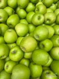 Sprzedam Granny Smith na dowolny cel. Około 80 ton, kaliber 70-90 mm z lekką czekoladą 5-10% towaru. 