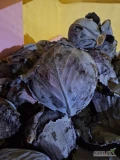 Sprzedam kapustę czerwoną w główkach, kaliber 0.5 - 3.5 kg. Ilość +/- 600kg, cena do uzgodnienia.
