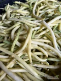 Sprzedam fasolkę szparagową na wieczór ok 300 kg żółtej i 150 kg zielonej
