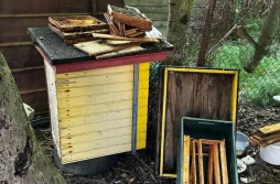 Ukradli 19 uli i... 4 litry miodu