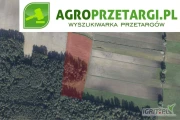 Przetarg na dzierżawę 1,25 ha gruntu rolnego na 3 lata – RV, RVI, ŁV, ŁVI
