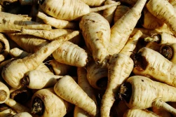 Pomylone nasiona: zamiast korzeniowej - pietruszka naciowa