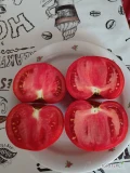 Sprzedam pomidory polne kaliber 5cm - 10cm około 3ton tygodniowo możliwość transportu. Pomidor moze być pakowany po 6 kg lub zgodnie...