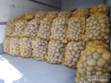 Witam, sprzedam ziemniaki jadalne. Odmiana Soraya. Możliwość transportu na miejsce ( do 300 worków). Cena i ilość do uzgodnienia. 