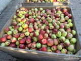 Witam, posiadam na sprzedaż 62 skrzyń ligola na dowolny cel. Jabłko jak na zdjęciach, bez nadmiernych przerostów, może trafić się...