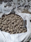 Sprzedam ziemniaki WEGA kaliber 0.45 w ilości 22 t. Zapraszam