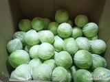 Sprzedam kapustę białą market 1-3,5kg, opakowanie do ustalenia kartonbox, worek, eps