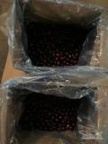 Sprzedam ciemną czereśnię /II klasa/ w kartonach po 10 kg/6 ton