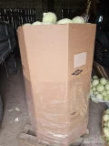 Sprzedam kapustę białą 2.5- 3.5 kg odmiana Gregorian. Czysta. Kartonbox. Ilości do uzgodnienia. Cena 50 gr za kilogram.