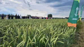 Osadkowski startuje z przeglądem zbóż i rzepaku w całej Polsce