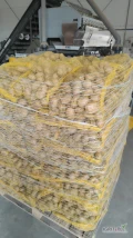 Sprzedam ziemniaki denar ostatnie 10 ton 90 gr cena we worku 15 kg 